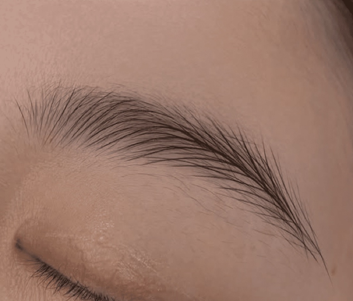 Healed microblading brow with fine hair-like strokes, by The Line Brows